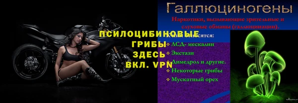 амф Алзамай