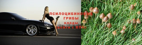 амф Алзамай