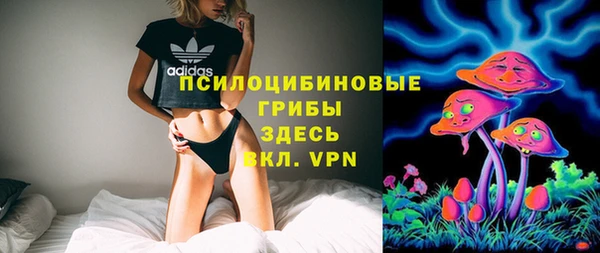 ALPHA PVP Алексин