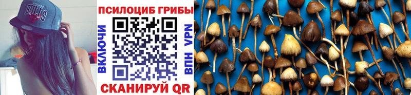 omg ONION  где найти наркотики  Яровое  Галлюциногенные грибы Magic Shrooms 